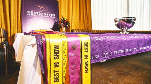 WKC Trending Image: Westminster Kennel Club Dog Show: Best in Show winners, breeds by year